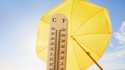 En fin de siècle, Météo-France prévoit que les vagues de chaleur pourraient être bien plus fréquentes, sévères et longues qu'aujourd'hui. (THE_BURTONS / MOMENT RF / GETTY)