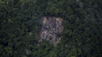Une vue aérienne d'une zone de la forêt amazonienne, au Brésil, touchée par la déforestation, le 2 février 2023. (MICHAEL DANTAS / AFP)