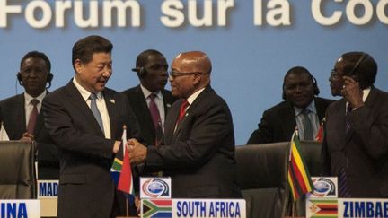 Forum de coopération Chine-Afrique les 4 et 5 décembre 2015 à Johannesburg (Ihsaan Haffejee/Anadolu Agency)