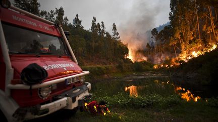 Quelque 900 pompiers et près de 300 véhicules sont mobilisés&nbsp;pour combattre ce sinistre, le plus meurtrier de l'histoire récente du Portugal. (PATRICIA DE MELO MOREIRA / AFP)