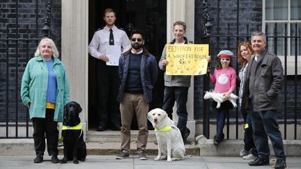 Manifestation de chiens et de leurs maîtres devant le 10 Downing Street à Londres contre le Brexit, le 7 octobre 2018. (TOLGA AKMEN / AFP)