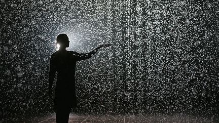 Une femme se prom&egrave;ne dans la "Rain Room", une installation artistique pr&eacute;sent&eacute;e au Centre Barbican, &agrave; Londres, le 3 octobre 2012.&nbsp; (OLI SCARFF / GETTY IMAGES EUROPE)