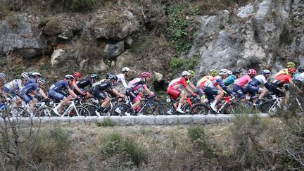 Le peloton a repris l'échappée à 4km de l'arrivée de la 2e étape du Tour des Alpes Maritimes et du Var  (LAURENT SANSON / LS MEDIANORD)