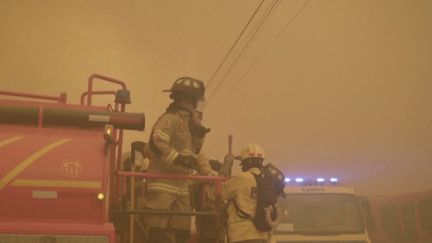Les flammes ravagent la région de Valparaiso au Chili, dans des incendies qui durent depuis plusieurs jours. Le bilan fait déjà état de 64 morts. (France 3)