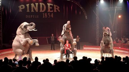 Pinder : un géant du cirque en liquidation