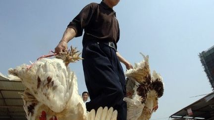 Un éleveur chinois sur la route du marché en 2007. (STR / AFP)