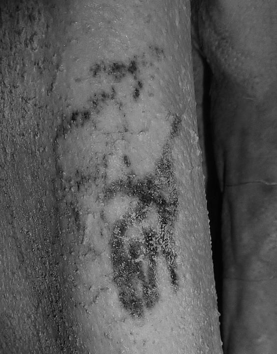 Un tatouage représentant un taureau sauvage découvert sur une momie au British Museum de Londres (Royaume-Uni). (BRITISH MUSEUM)