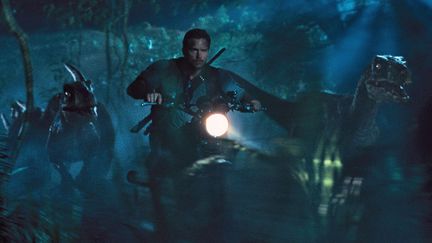 Extrait de Jurassic World, avec Chris Pratt dans le r&ocirc;le d'Owen en train de poursuivre un dinosaure aux c&ocirc;t&eacute;s de raptors.&nbsp; (UNIVERSAL PICTURES / AMBLI / AP / SIPA)