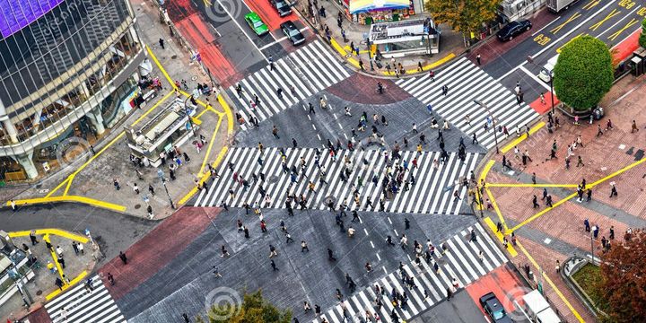 La physionomie des carrefours de Tokyo au Japon peut-être assez différente de celles des carrefours européens. Au moins un point commun demeure : le feu de signalisation. (Luciano Mortula – Dreams time.com)