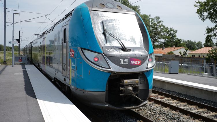 A TER train at Montaigu-Vendée station, in Vendée, on May 29, 2023. (MATHIEU THOMASSET / HANS LUCAS / AFP)