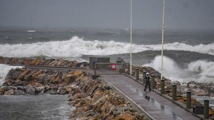 La tempête Gloria à Perpignan, le 21 janvier.&nbsp; (MICHEL CLEMENTZ / MAXPPP)