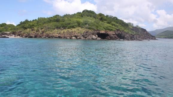 La réserve Cousteau (îlets Pigeon) à Basse-Terre (EMMANUEL LANGLOIS)