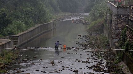 l’arsenic est l’un des principaux contaminants de l’eau potable sur la planète.  (REUTERS / Jason Lee)