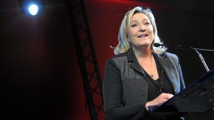 La présidente du FN, Marine Le Pen, lors d'un meeting à Nîmes (Gard), le 2 décembre 2015. (MAXPPP)