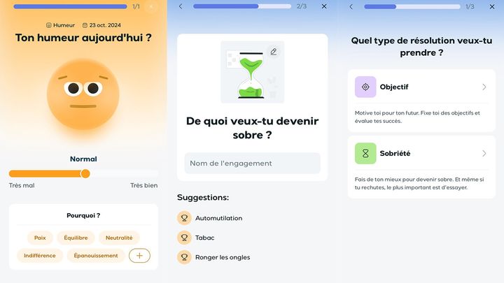 Grâce à plusieurs fonctionnalités, l'utilisateur peut évaluer sa santé mentale. (LYYNK / CAPTURES D'ECRAN / DR)