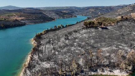 Incendies en Grèce : les paysages dévastés par les flammes désolent les habitants