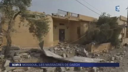 Irak : 232 personnes tuées par l'État islamique à Mossoul