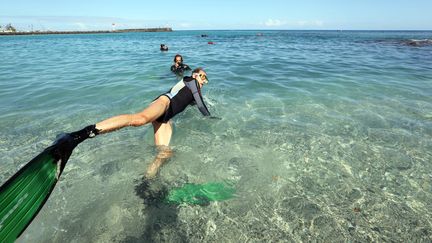 Un &eacute;cologiste se baigne &agrave; La R&eacute;union pr&egrave;s du lieu d'une attaque de requin, le 19 ao&ucirc;t 2012. (RICHARD BOUHET / AFP)