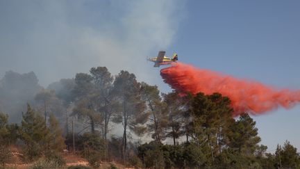 Un avion israëlien déverse un produit pour lutter contre les incendies qui ravagent&nbsp;Israël&nbsp;et la Cisjordanie, le 26 novembre 2016. (MENAHEM KAHANA / AFP)