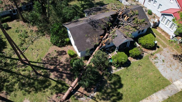 The violence of the winds, sometimes measured at 225 km/h, uprooted trees, as in Valdosta, in the state of Georgia, on September 28, 2024. (JOHN FALCHETTO / AFP)