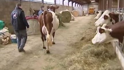 Salon d'agriculture : rencontre avec une famille d'éleveurs du Doubs