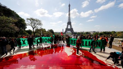 Du faux sang déversé par des militants d'Extinction Rebellion, le 12 mai 2019, sur les marches du Trocadéro à Paris. (FRANCOIS GUILLOT / AFP)