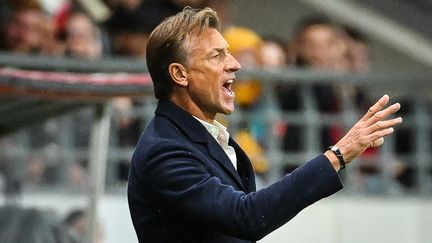 Le sélectionneur des Bleues, Hervé Renard, lors de France-Norvège en Ligue des nations à Reims, le 31 octobre 2023. (MATTHIEU MIRVILLE / AFP)