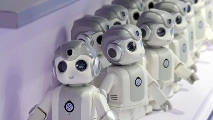 Des robots de robots jouets humanoïdes dans la ville de Yantai, en Chine, le mardi 13 août 2024 (photo d'illustration). (TANG KE / MAXPPP)