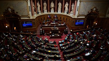 L'hémicycle du Sénat, à Paris, le 1er avril 2021. (MARTIN BUREAU / AFP)