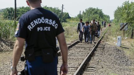 Un policier hongrois contr&ocirc;le l'arriv&eacute;e de migrants pr&egrave;s de la fronti&egrave;re serbe, &agrave;&nbsp;Roszke (Hongrie), le 23 ao&ucirc;t 2015.&nbsp; (CSABA SEGESVARI / AFP)