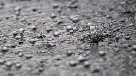 Un violent orage de grêle&nbsp;s'est abattu sur la région de Saint-Etienne (Loire), le 15 juin 2019.&nbsp; (YORICK JANSENS / BELGA MAG / AFP)