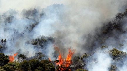 L'incendie qui touche La réunion a ravagé plus de 2.600 hectares. (RICHARD BOUHET / AFP)