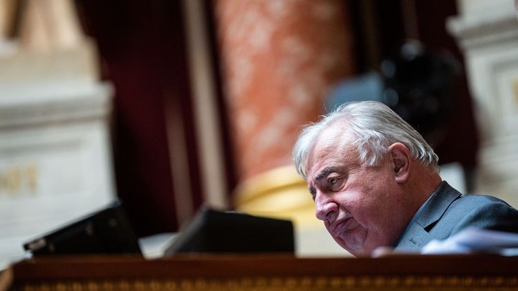 The President of the Senate, Gérard Larcher, during questions to the government, April 5, 2023. (XOSE BOUZAS / HANS LUCAS / AFP)