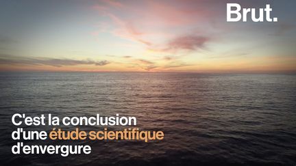 Régénérer les océans d'ici 2050 : c'est possible. C'est la conclusion d'une étude scientifique d'envergure internationale. Voilà les actions immédiates à prendre pour sauver la vie marine en moins de 30 ans.