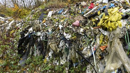 Une décharge sauvage à Rédange en Moselle, en novembre 2023 (JEAN-CHRISTOPHE VERHAEGEN / AFP)