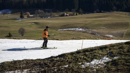 Un hiver historiquement doux qui chamboule la nature