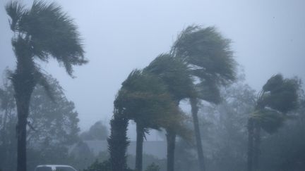 La Floride balayée par l’ouragan Michael