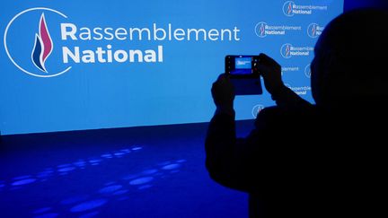 Le logo du Rassemblement national pris en photo. Photo d'illustration. (JEAN-PHILIPPE KSIAZEK / AFP)