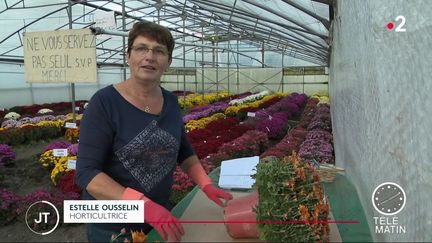 
Estelle Ousseli, horticultrice, vend des chrysanthèmes.
 (France 2)