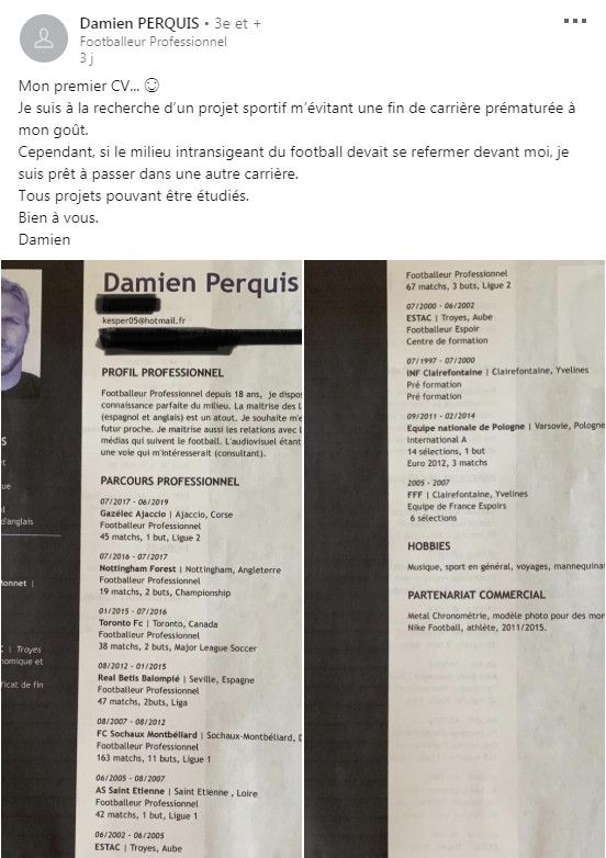 Le CV de Damien Perquis sur LinkedIn.&nbsp; (CAPTURE ECRAN)