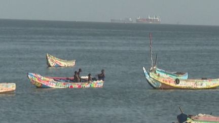 Au Sénégal, le manque de poissons pousse les pêcheurs à l’exode. En cause : la surpêche et le changement climatique. (franceinfo)