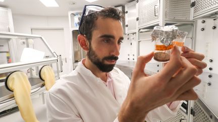 L'astrobiologiste Cyprien Verseux au Centre de technologie spatiale appliquée et de microgravité (ZARM) à Brême, dans le nord de l'Allemagne, le 18 novembre 2019. (FOCKE STRANGMANN / EPA)