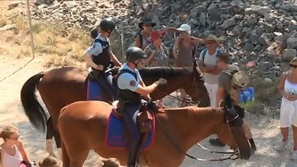 Calanques : patrouilles à cheval