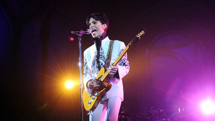 Prince, le 11 octobre 2009 sur la sc&egrave;ne du Grand Palais, &agrave; Paris. (BERTRAND GUAY / AFP)