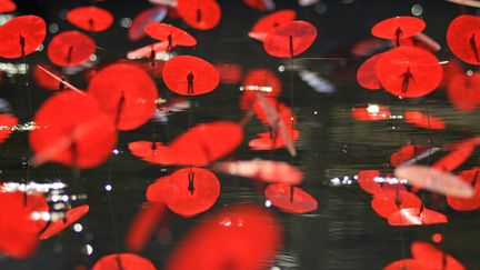 Les Coquelicots de Mark Kramer à Marcilly-en-Gault dans le cadre de la Biennale d'art contemporain de Sologne 
 (Olivier Coulange)