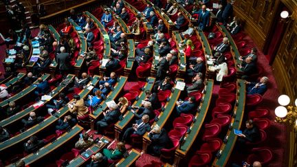 Une séance publique de questions au gouvernement au Sénat (Paris), le 18 janvier 2023. (XOSE BOUZAS / HANS LUCAS / AFP)