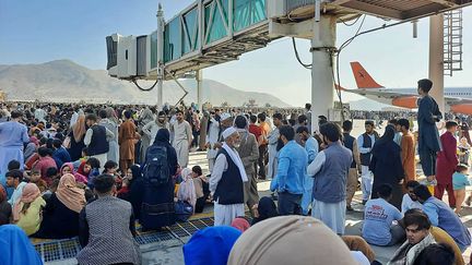 Des Afghans se massent sur le tarmac de l'aéroport de Kaboul, dans l'espoir de fuir le conflit, le 16 août 2021. (AFP)