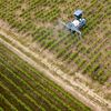 Epandage dans un vignoble de la région de Nantes (Loire-Atlantique) (illustration). (LOIC VENANCE / AFP)