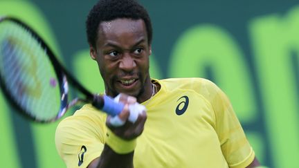 Gaël Monfils  (MARWAN NAAMANI / AFP)