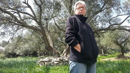 &nbsp; (Fabienne Maestracci, productrice d’huile d’olive à Bonifacio, dans son oliveraie © RF / Sébastien Baer)